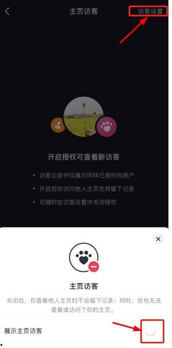 如何设置头条访客记录,掌握精准用户数据分析
