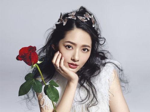 拥有明星,揭秘明星背后的故事与魅力