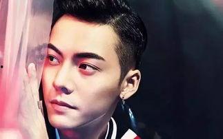 2017十大明星,盘点十大闪耀明星风采