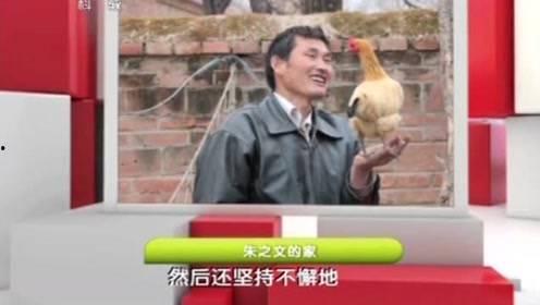 泰安老县头条视频,老县头条视频带你穿越时空