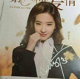 女明星文哲海报,光影交织下的璀璨星辉