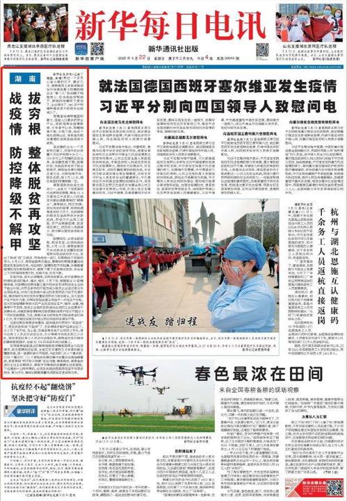 战役疫情头条,战疫关键时刻，最新动态与防控措施盘点