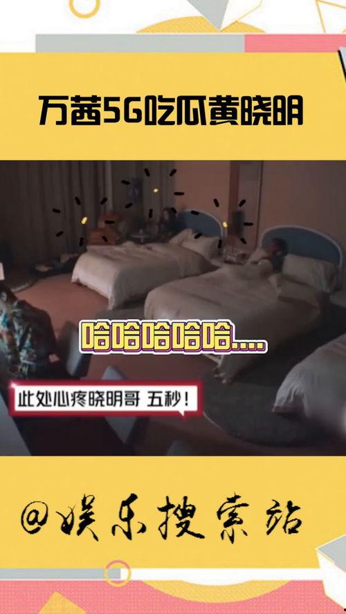 吃瓜公寓,邻里间的欢乐与争议