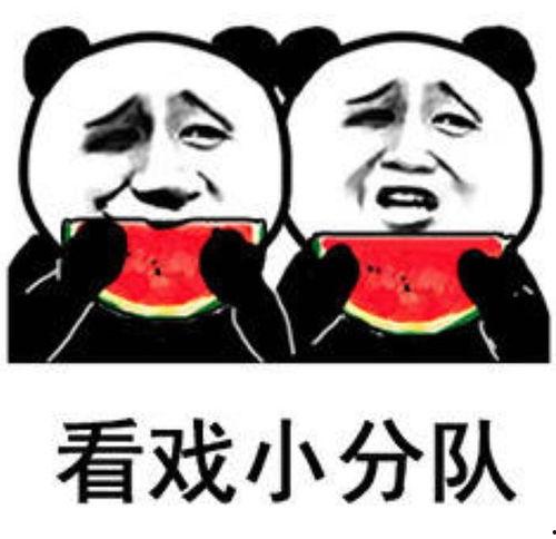 吃瓜表情包理解,揭秘网络时代的社交新宠