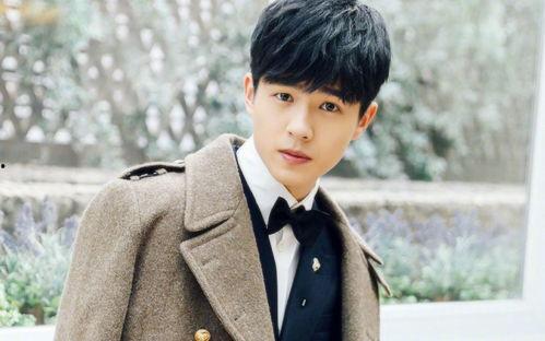 新生代明星男明星,新生代男明星崛起之路