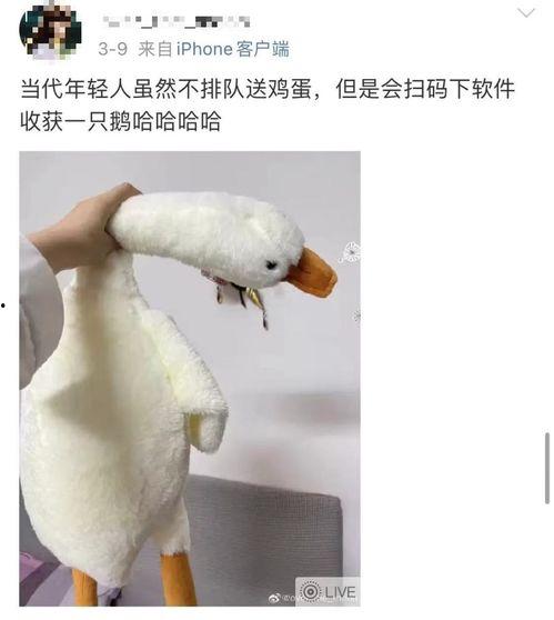 自贡网红鹅,萌态可掬的街头明星，带你领略巴蜀风情