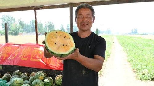 青海周边吃瓜的地方,青海周边的瓜果飘香之地探秘