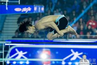 明星跳水那个节目,激情四溢的水下竞技盛宴