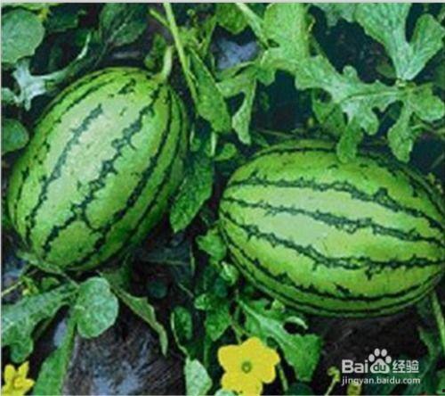 吃瓜网51爆料九台,揭秘娱乐圈背后的惊人内幕